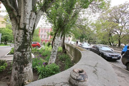 В выходные и праздничные дни улицы в историческом центре города станут пешеходной зоной (фоторепортаж) 
