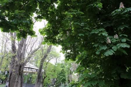 В выходные и праздничные дни улицы в историческом центре города станут пешеходной зоной (фоторепортаж) 