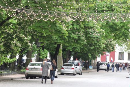 В выходные и праздничные дни улицы в историческом центре города станут пешеходной зоной (фоторепортаж) 