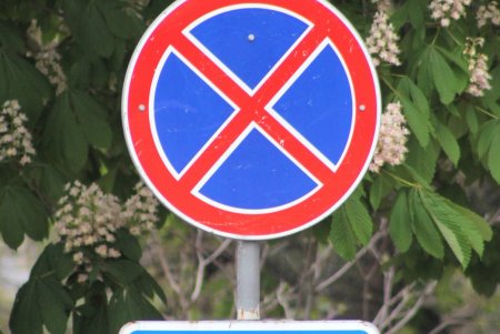 В выходные и праздничные дни улицы в историческом центре города станут пешеходной зоной (фоторепортаж) 