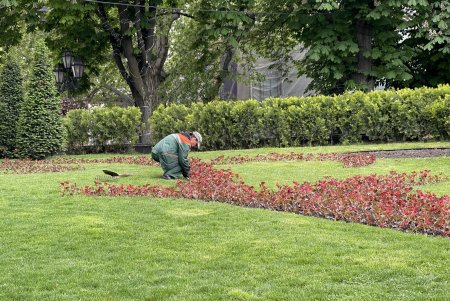 Одесские озеленители приступили к высадке летних цветов (фото)