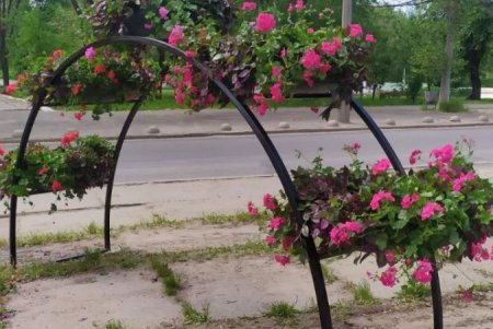 Одесские озеленители приступили к высадке летних цветов (фото)