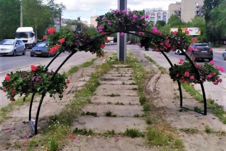 Одесские озеленители приступили к высадке летних цветов (фото)