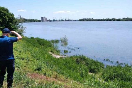 В Измаиле спасатели ищут пропавшего во время купания в реке подростка