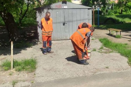 В Приморском районе демонтированы незаконно установленные юнипаркеры (фото)