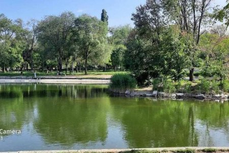 В Дюковском саду наполнили малый пруд водой после чистки (фото)