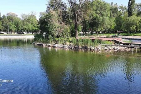 В Дюковском саду наполнили малый пруд водой после чистки (фото)
