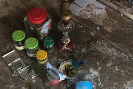 Наркотики, плантация конопли, оружие: троих жителей Болградского района привлекли к ответственности (фото)