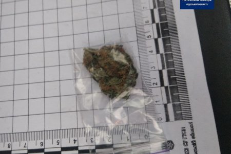 В Киевском и Приморском районах полицейские выявили двоих нарколюбителей (фото)