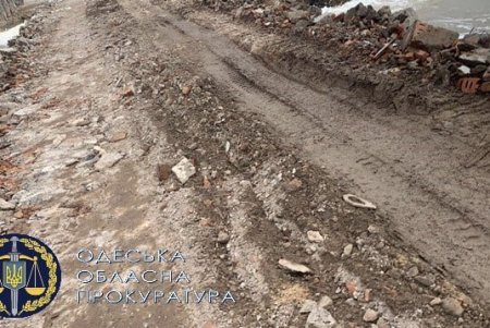 Житель Белгорода-Днестровского незаконно строил причал в нацпарке «Тузловские лиманы»