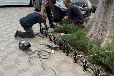 Александровскую колонну в парке Шевченко украсили узорчатым цветочным ковром (фото)