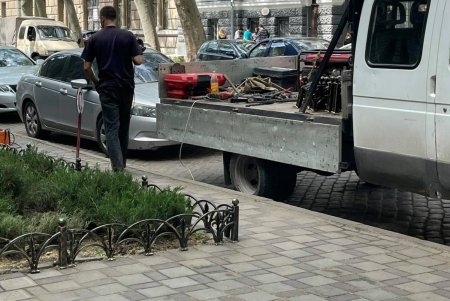 Александровскую колонну в парке Шевченко украсили узорчатым цветочным ковром (фото)
