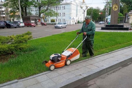 Александровскую колонну в парке Шевченко украсили узорчатым цветочным ковром (фото)