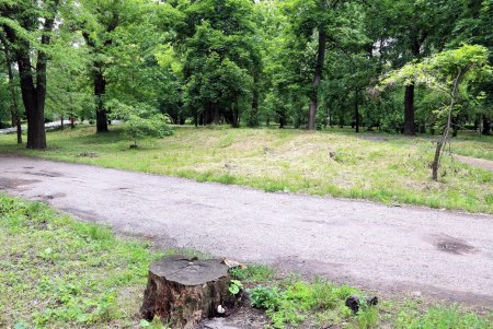 Умытый дождем и утопающий в зелени санаторий «Аркадия» (фоторепортаж) 