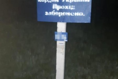 Международная преступная группировка переправляла через границу в Одесской области мигрантов, оружие и подакцизные товары (фото)