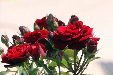 Одесситы открывают пляжный сезон (фоторепортаж)