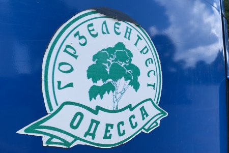 Озеленители ежедневно благоустраивают парки и скверы, высаживают в городе летние цветы (фото)