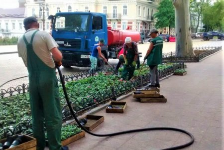 Озеленители ежедневно благоустраивают парки и скверы, высаживают в городе летние цветы (фото)