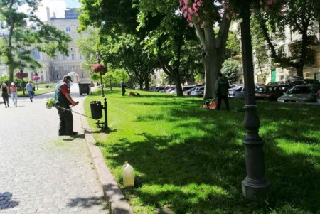 Озеленители ежедневно благоустраивают парки и скверы, высаживают в городе летние цветы (фото)