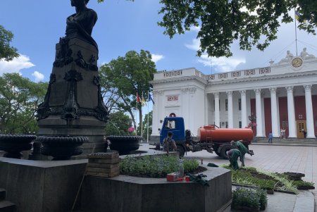 Озеленители ежедневно благоустраивают парки и скверы, высаживают в городе летние цветы (фото)