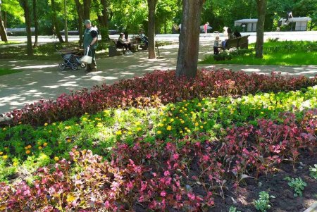 Озеленители ежедневно благоустраивают парки и скверы, высаживают в городе летние цветы (фото)
