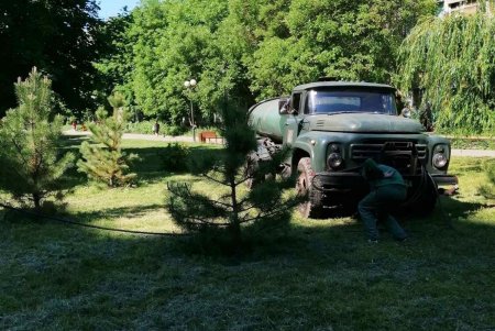 Озеленители ежедневно благоустраивают парки и скверы, высаживают в городе летние цветы (фото)