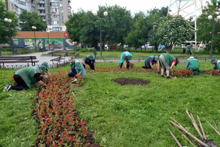 Озеленители ежедневно благоустраивают парки и скверы, высаживают в городе летние цветы (фото)