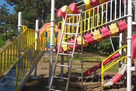 Озеленители ежедневно благоустраивают парки и скверы, высаживают в городе летние цветы (фото)