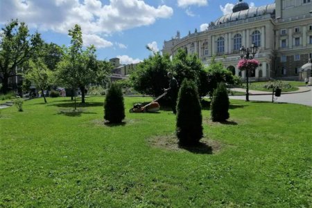 Озеленители ежедневно благоустраивают парки и скверы, высаживают в городе летние цветы (фото)