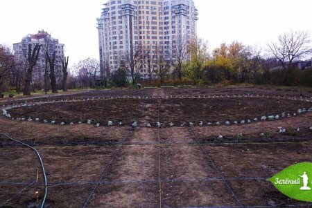 «Розовая сказка» начинается в ботаническом саду (фото)