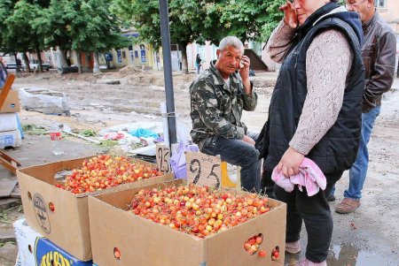 Почем «вкус июня» на «Привозе» (фоторепортаж) 