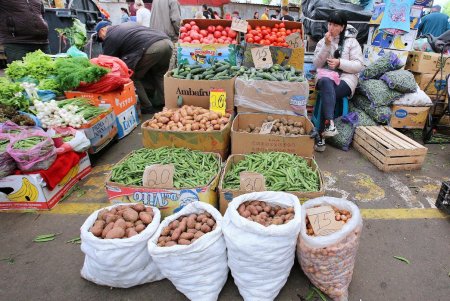 Почем «вкус июня» на «Привозе» (фоторепортаж) 