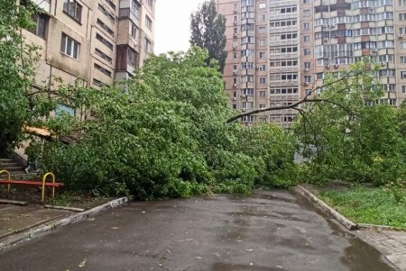 Одесские коммунальщики устраняют последствия непогоды (фото)