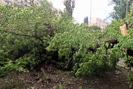 Одесские коммунальщики устраняют последствия непогоды (фото)