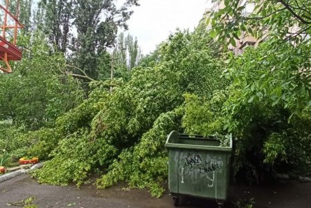 Одесские коммунальщики устраняют последствия непогоды (фото)