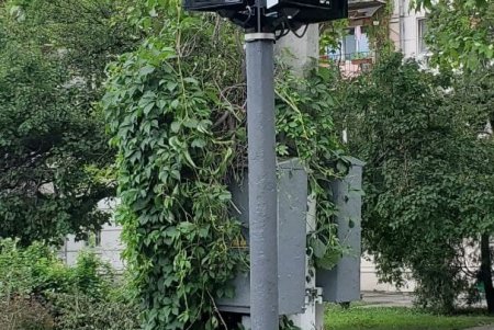 На оживленном перекрестке на Молдаванке заменили светофоры (фото)