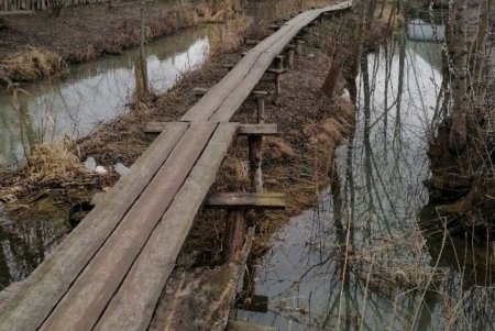 Известный одесский комик снимается в болгарском кино в Вилково (фото)