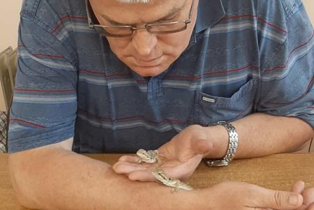В Одесском зоопарке появились малыши у нескольких земноводных и пресмыкающихся (фото) 