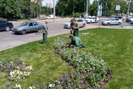 Коммунальщики регулярно выкашивают траву на зеленых зонах Одессы и высаживают летние цветы