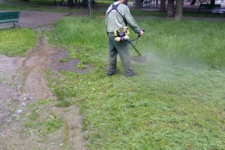 Коммунальщики регулярно выкашивают траву на зеленых зонах Одессы и высаживают летние цветы
