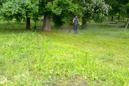 Коммунальщики регулярно выкашивают траву на зеленых зонах Одессы и высаживают летние цветы