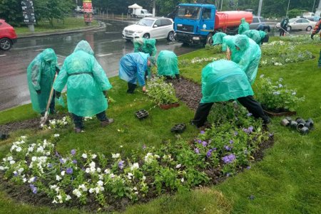 Коммунальщики регулярно выкашивают траву на зеленых зонах Одессы и высаживают летние цветы