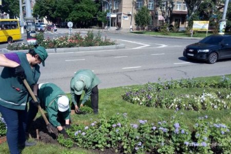 Коммунальщики регулярно выкашивают траву на зеленых зонах Одессы и высаживают летние цветы