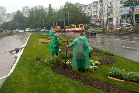 Коммунальщики регулярно выкашивают траву на зеленых зонах Одессы и высаживают летние цветы