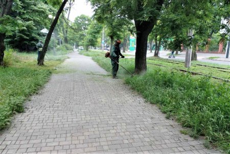 Коммунальщики регулярно выкашивают траву на зеленых зонах Одессы и высаживают летние цветы