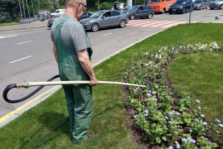 Коммунальщики регулярно выкашивают траву на зеленых зонах Одессы и высаживают летние цветы