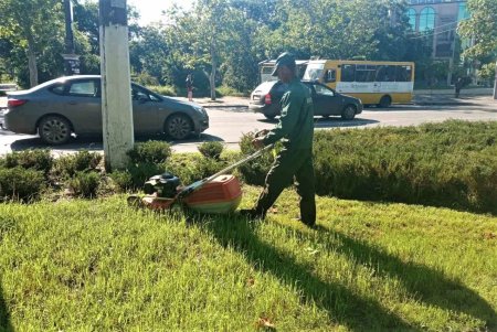 Коммунальщики регулярно выкашивают траву на зеленых зонах Одессы и высаживают летние цветы