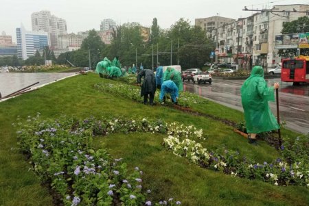 Коммунальщики регулярно выкашивают траву на зеленых зонах Одессы и высаживают летние цветы