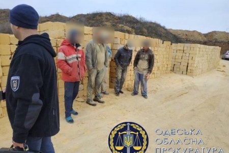 В Раздельнянском районе лесничий закрывал глаза на незаконную добычу ракушечника на вверенном участке