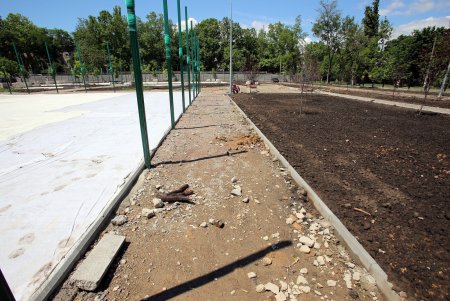 Современный Дом детского творчества откроют на улице Комарова (фото)
